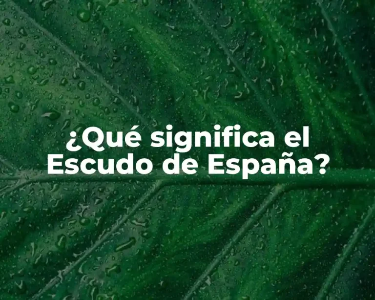 ¿Qué significa el Escudo de España?
