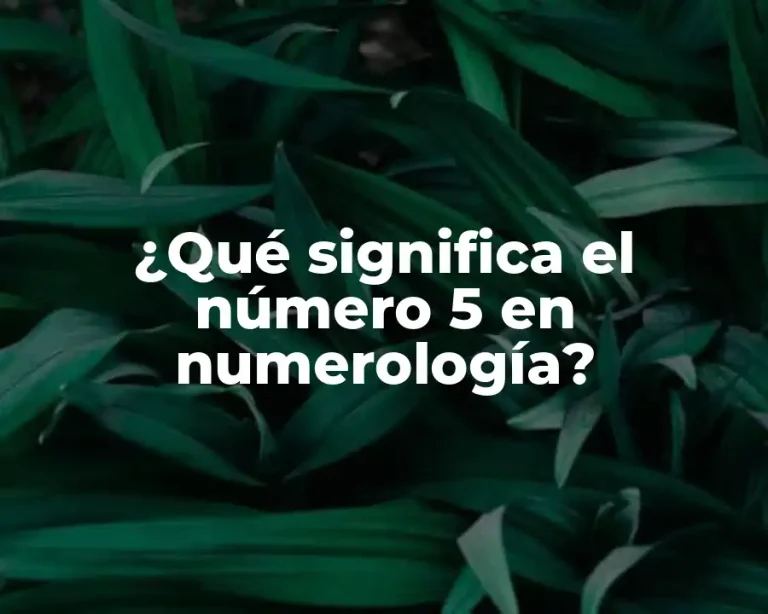 ¿Qué significa el número 5 en numerología?