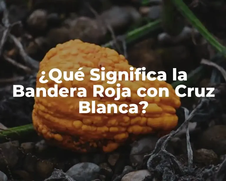 ¿Qué Significa la Bandera Roja con Cruz Blanca?