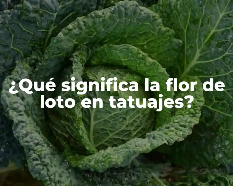 ¿Qué significa la flor de loto en tatuajes?