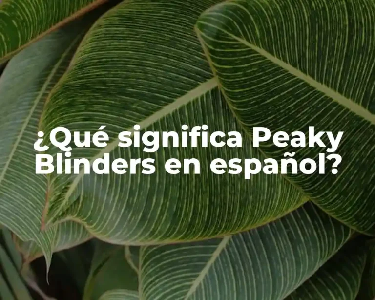 ¿Qué significa Peaky Blinders en español?