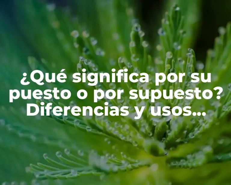 ¿Qué significa por su puesto o por supuesto? Diferencias y usos correctos