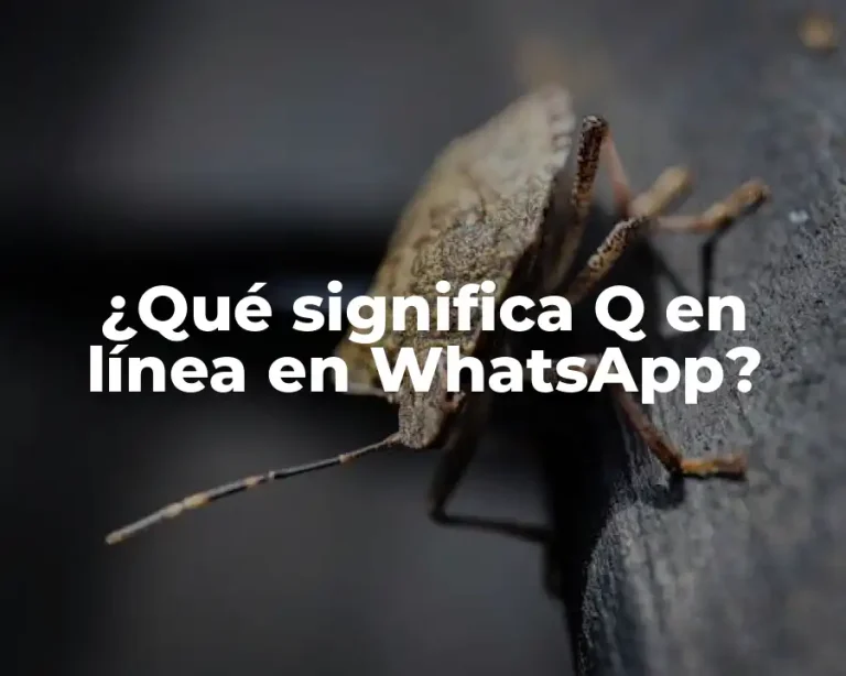 ¿Qué significa Q en línea en WhatsApp?