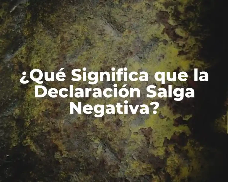 ¿Qué Significa que la Declaración Salga Negativa?