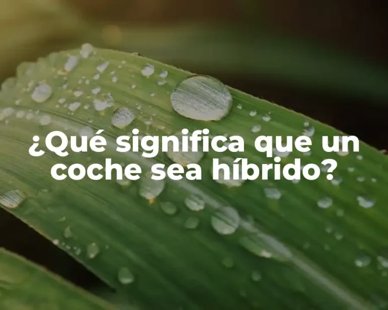 ¿Qué significa que un coche sea híbrido?