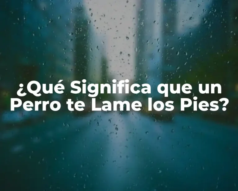 ¿Qué Significa que un Perro te Lame los Pies?