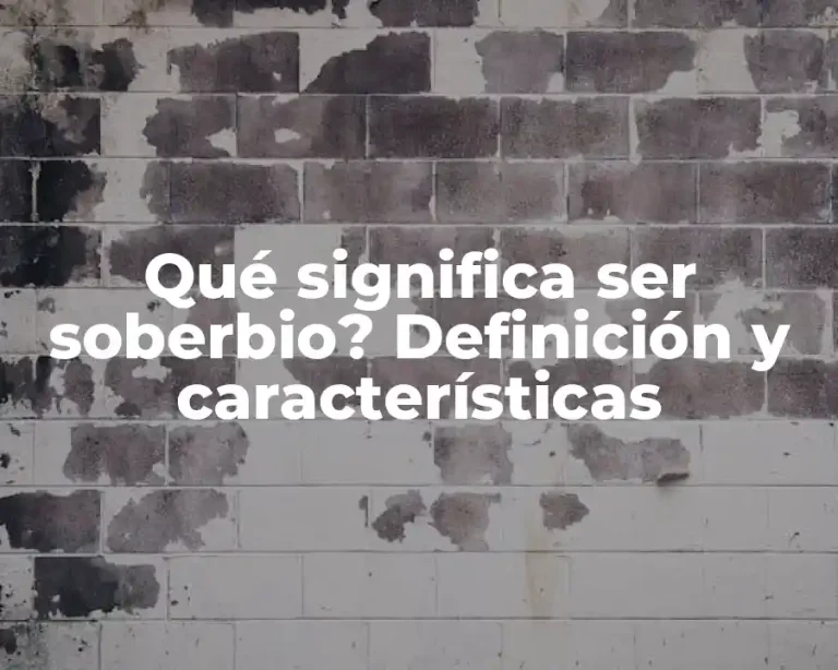 Qué significa ser soberbio? Definición y características