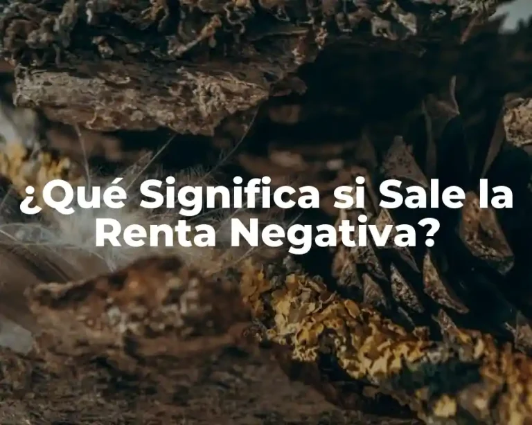 ¿Qué Significa si Sale la Renta Negativa?