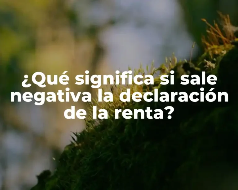 ¿Qué significa si sale negativa la declaración de la renta?