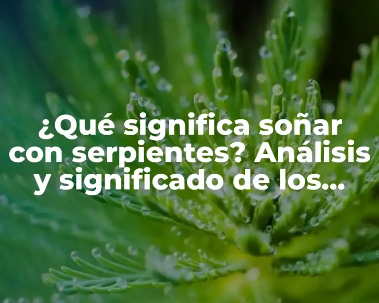 ¿Qué significa soñar con serpientes? Análisis y significado de los sueños con serpientes