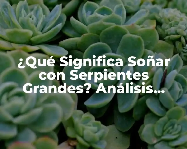 ¿Qué Significa Soñar con Serpientes Grandes? Análisis Detallado
