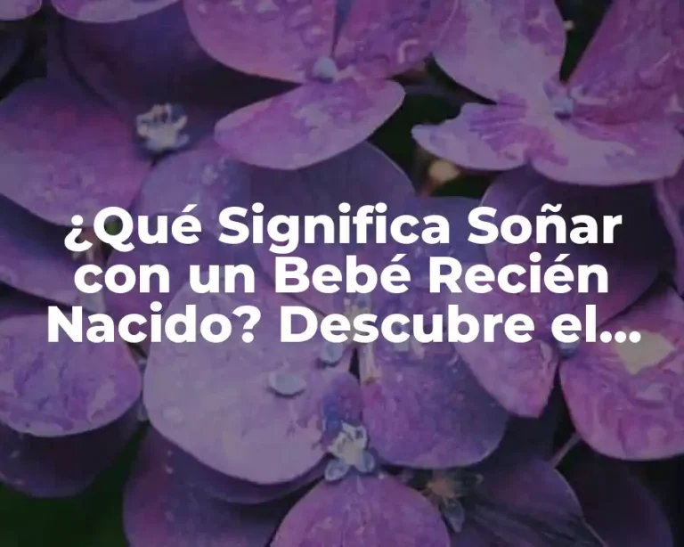¿Qué Significa Soñar con un Bebé Recién Nacido? Descubre el Significado