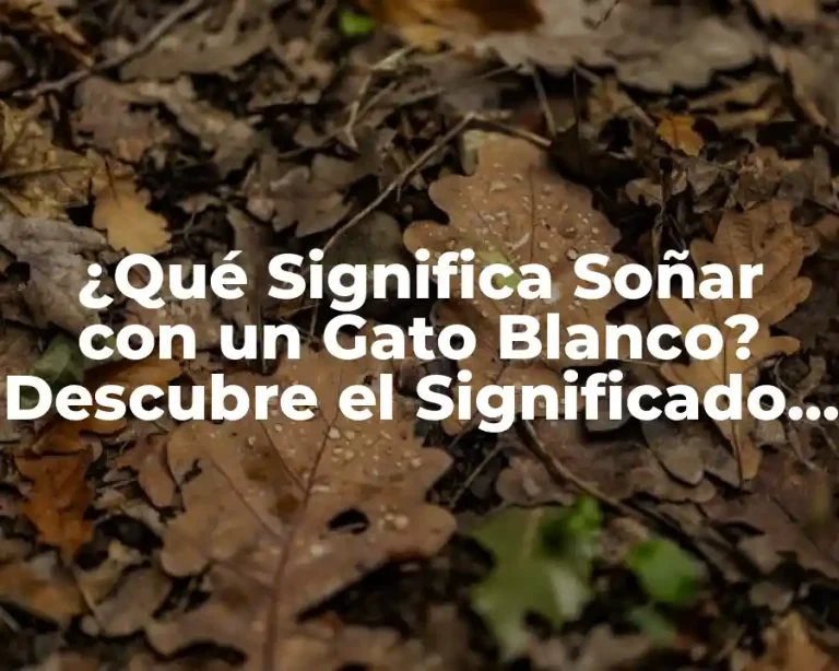 ¿Qué Significa Soñar con un Gato Blanco? Descubre el Significado y la Interpretación de este Sueño