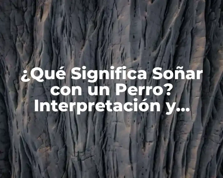 ¿Qué Significa Soñar con un Perro? Interpretación y Significado de los Sueños con Perros