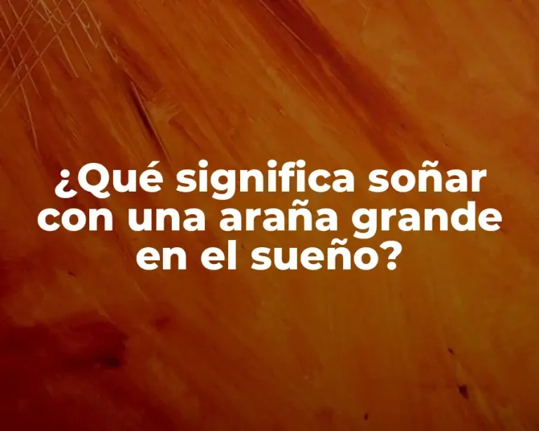 ¿Qué significa soñar con una araña grande en el sueño?