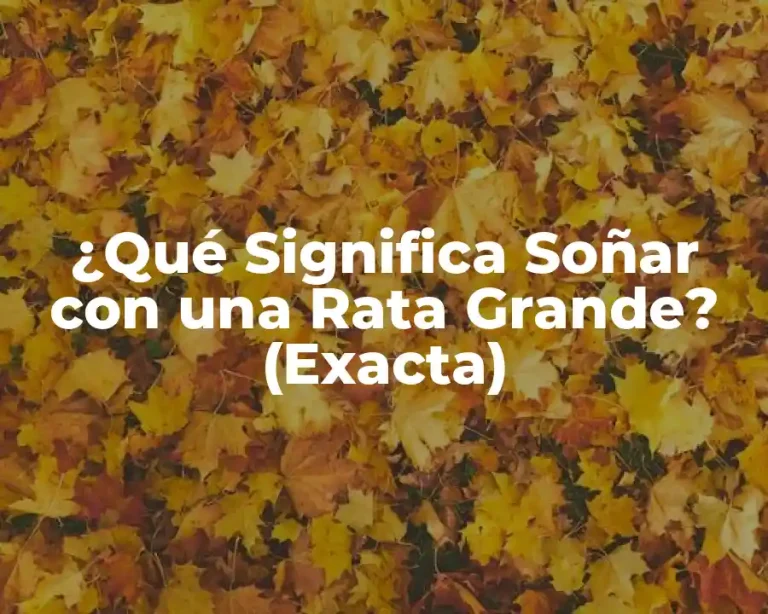 ¿Qué Significa Soñar con una Rata Grande? (Exacta)