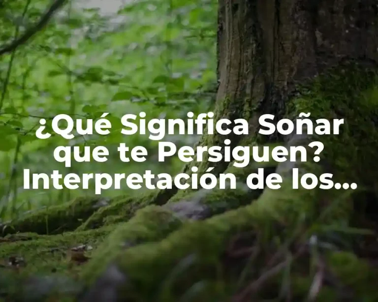 ¿Qué Significa Soñar que te Persiguen? Interpretación de los Sueños