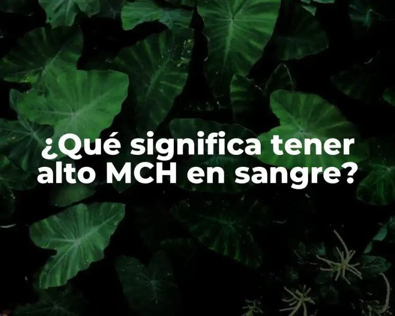 ¿Qué significa tener alto MCH en sangre?