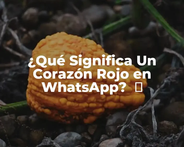 ¿Qué Significa Un Corazón Rojo en WhatsApp?  ️