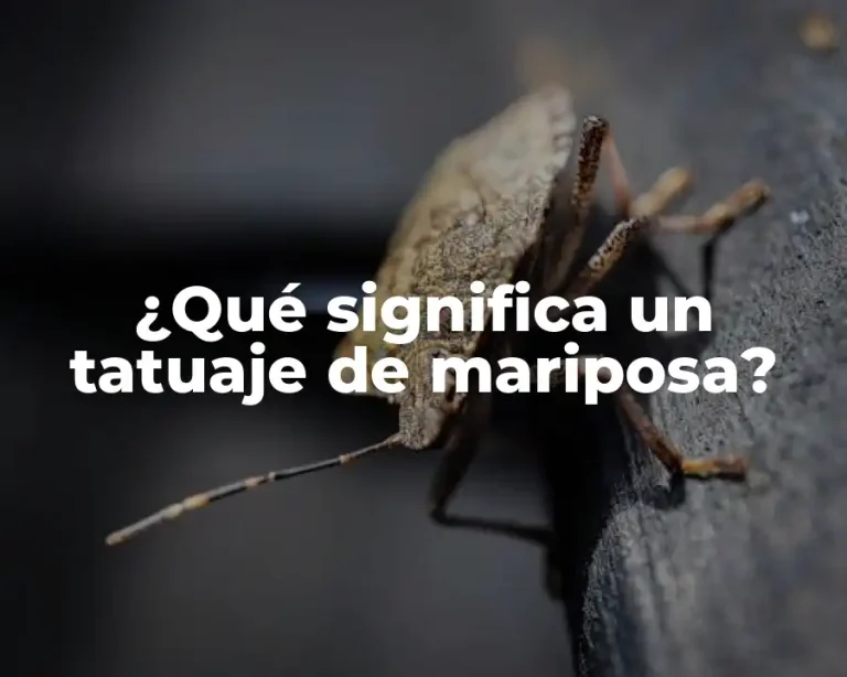 ¿Qué significa un tatuaje de mariposa?