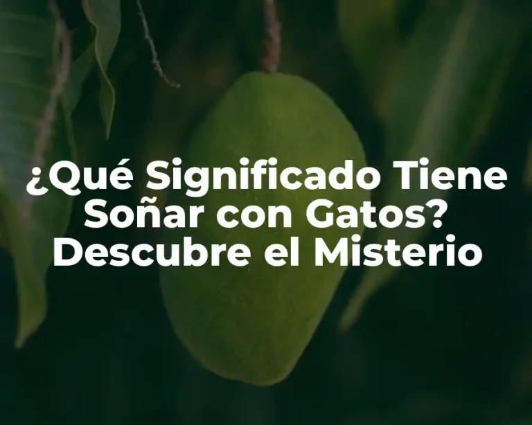 ¿Qué Significado Tiene Soñar con Gatos? Descubre el Misterio