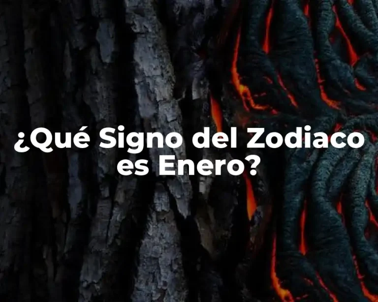 ¿Qué Signo del Zodiaco es Enero?
