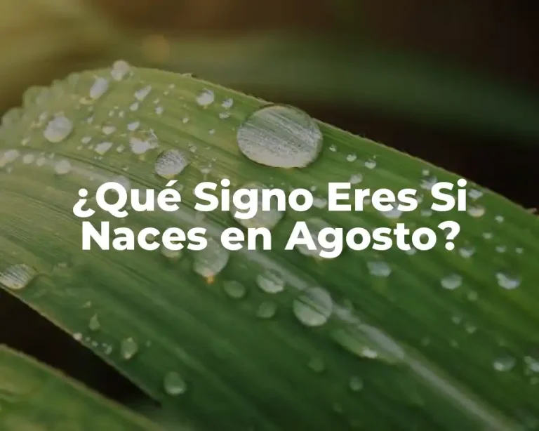 ¿Qué Signo Eres Si Naces en Agosto?