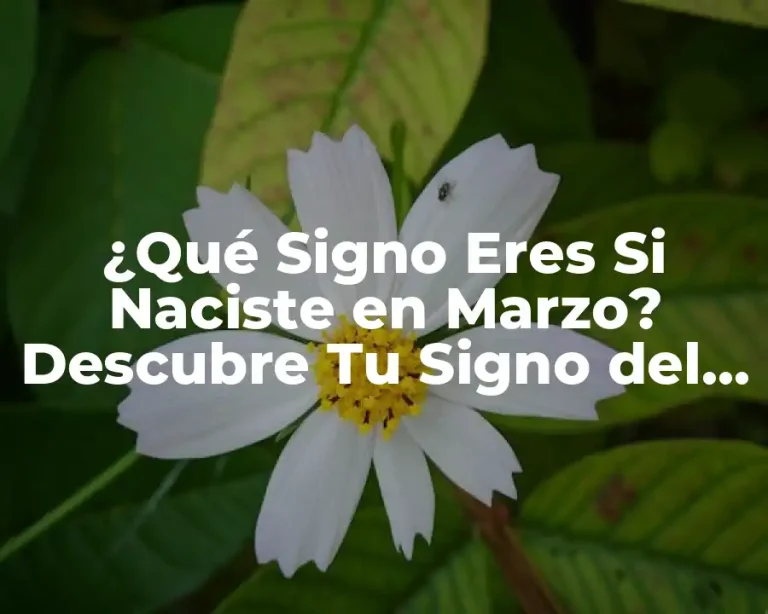 ¿Qué Signo Eres Si Naciste en Marzo? Descubre Tu Signo del Zodíaco