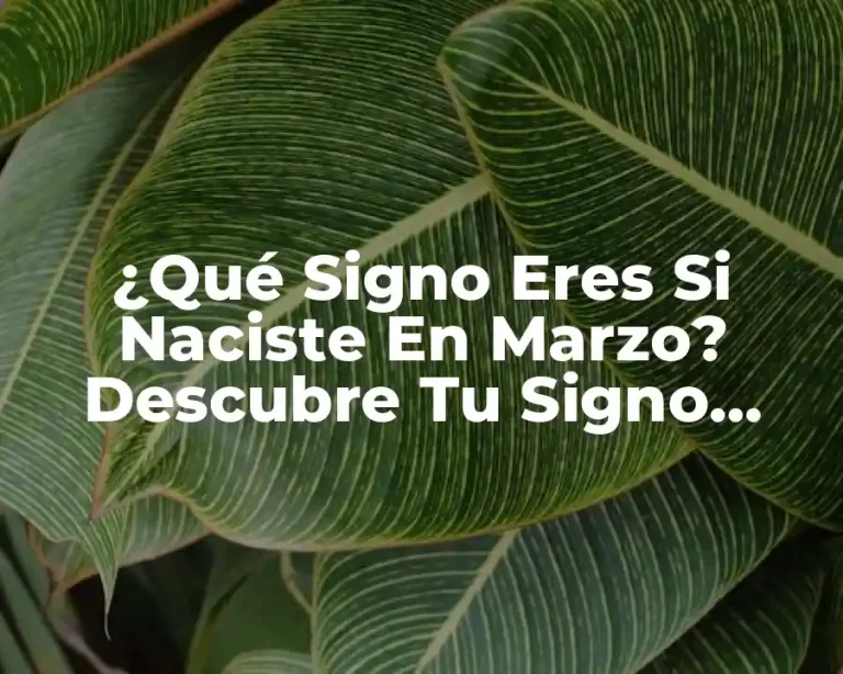 ¿Qué Signo Eres Si Naciste En Marzo? Descubre Tu Signo Zodiacal