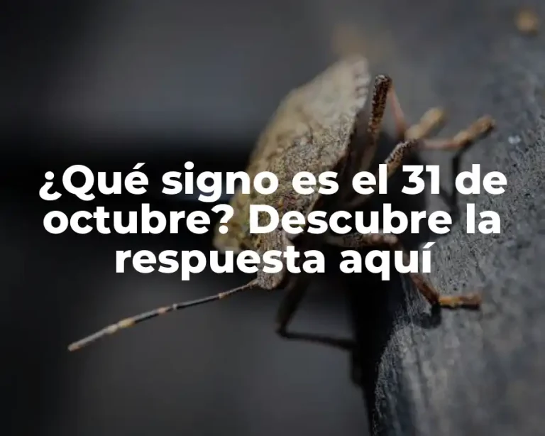 ¿Qué signo es el 31 de octubre? Descubre la respuesta aquí