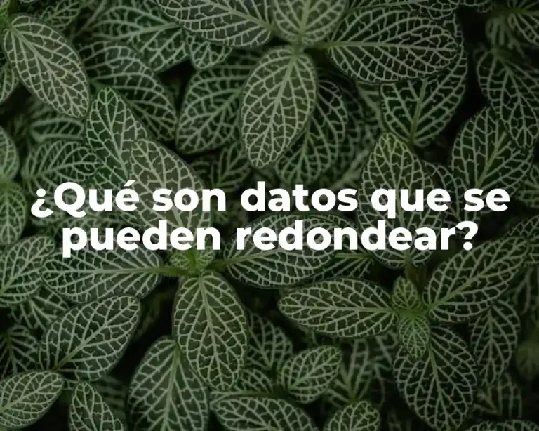 ¿Qué son datos que se pueden redondear?