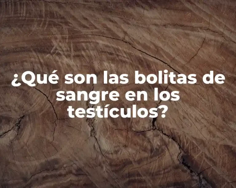 ¿Qué son las bolitas de sangre en los testículos?