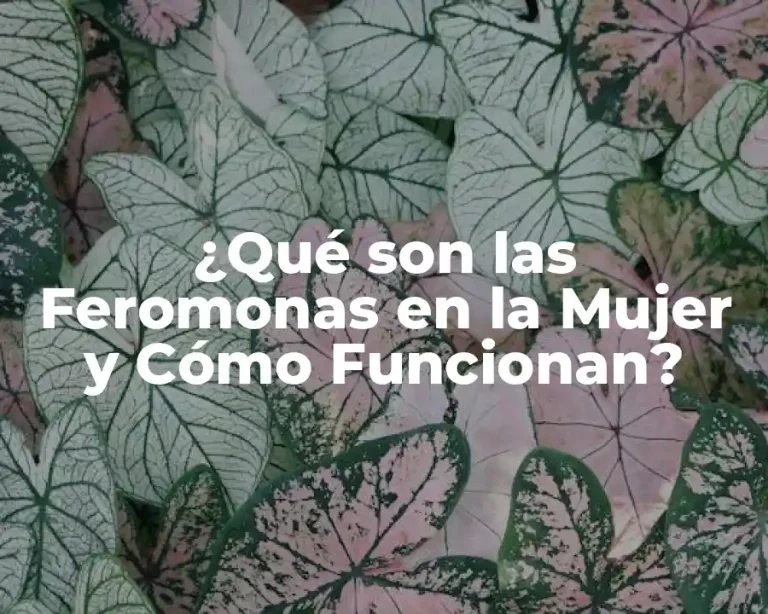 ¿Qué son las Feromonas en la Mujer y Cómo Funcionan?