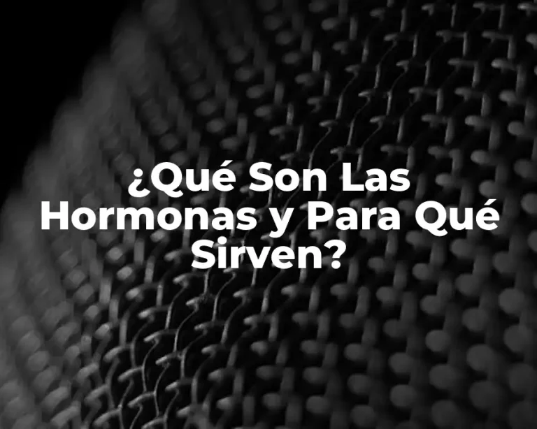 ¿Qué Son Las Hormonas y Para Qué Sirven?