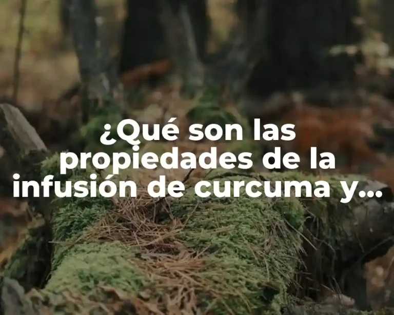 ¿Qué son las propiedades de la infusión de curcuma y cómo benefician nuestra salud?