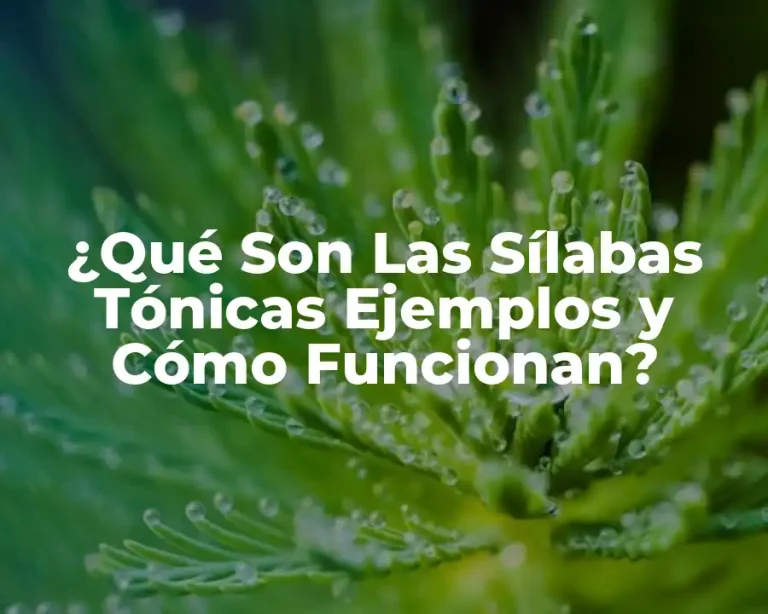 ¿Qué Son Las Sílabas Tónicas Ejemplos y Cómo Funcionan?