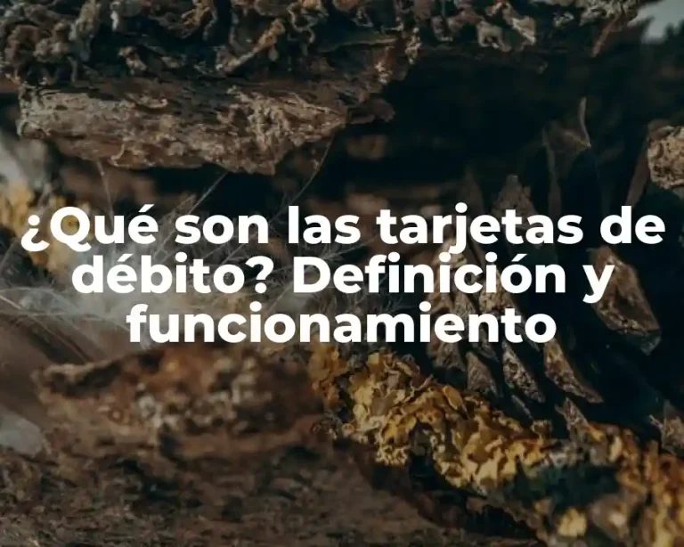 ¿Qué son las tarjetas de débito? Definición y funcionamiento