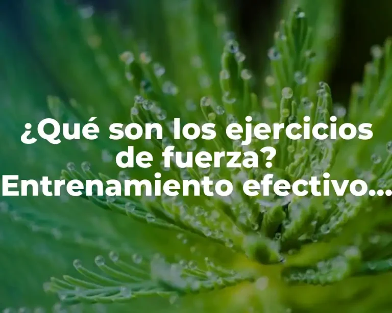 ¿Qué son los ejercicios de fuerza? Entrenamiento efectivo para el desarrollo muscular