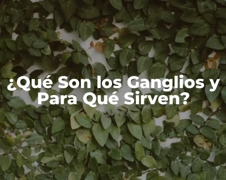 ¿Qué Son los Ganglios y Para Qué Sirven?