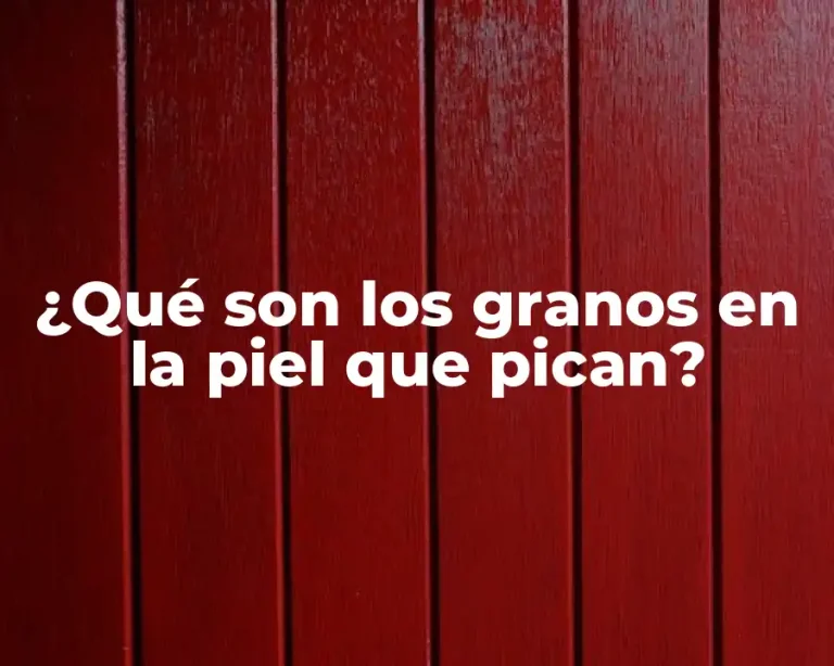 ¿Qué son los granos en la piel que pican?