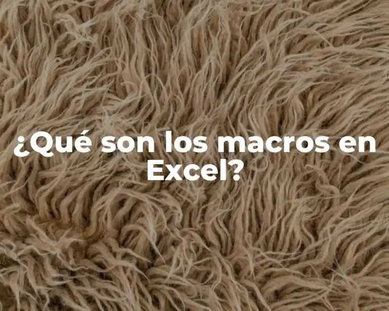 ¿Qué son los macros en Excel?
