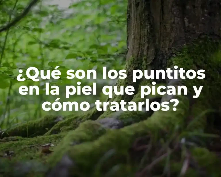¿Qué son los puntitos en la piel que pican y cómo tratarlos?
