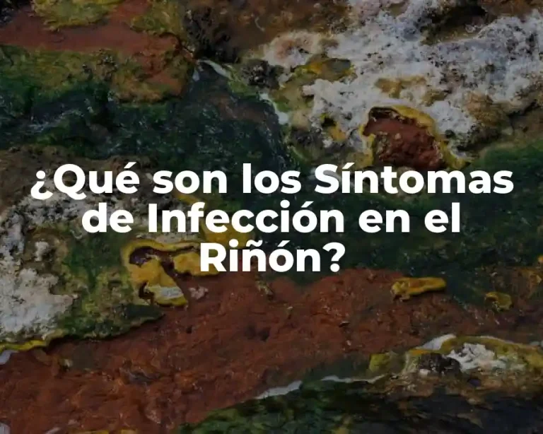 ¿Qué son los Síntomas de Infección en el Riñón?