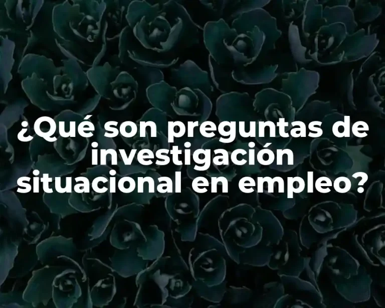 ¿Qué son preguntas de investigación situacional en empleo?