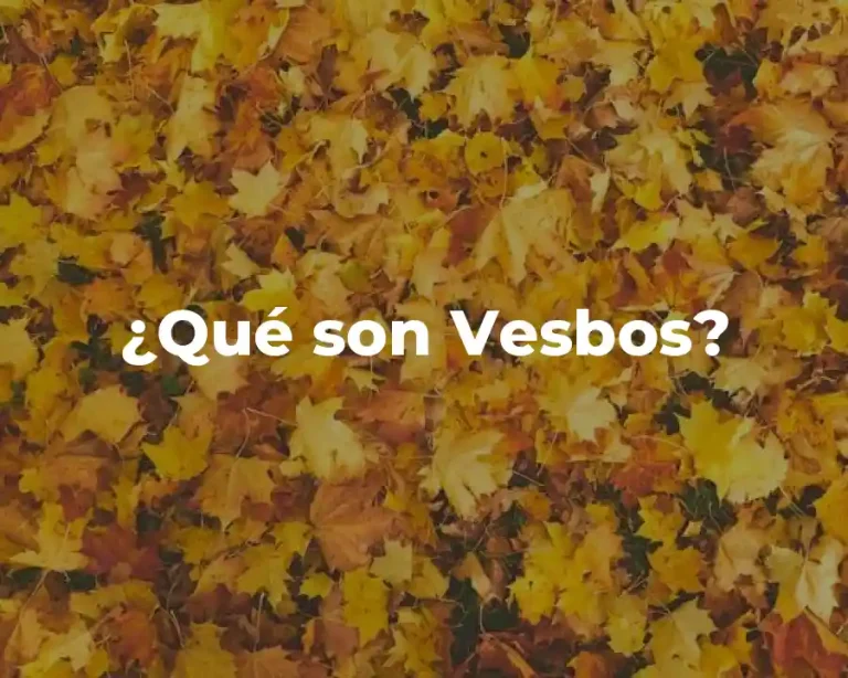 ¿Qué son Vesbos?