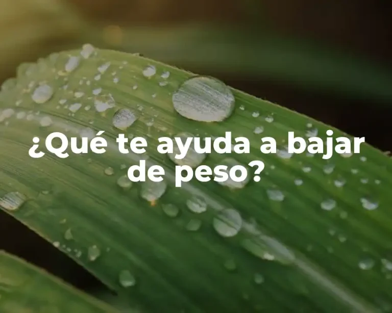 ¿Qué te ayuda a bajar de peso?