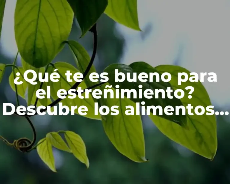 ¿Qué te es bueno para el estreñimiento? Descubre los alimentos y remedios naturales más efectivos