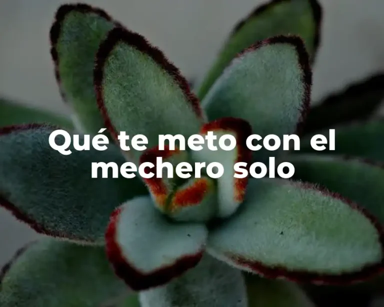 Qué te meto con el mechero solo