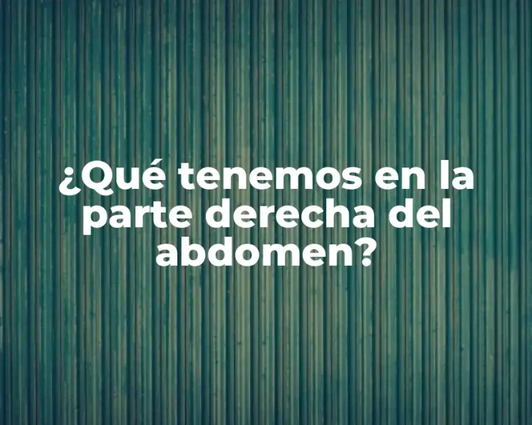 ¿Qué tenemos en la parte derecha del abdomen?