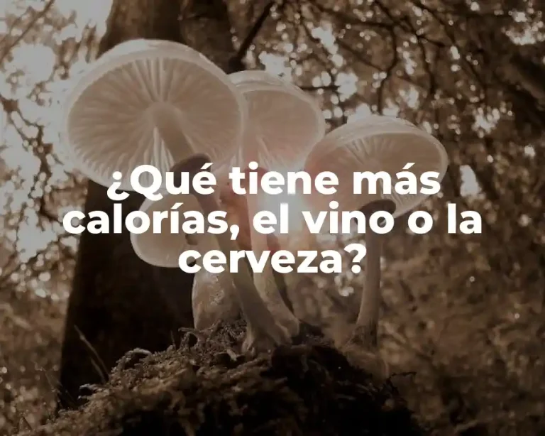 ¿Qué tiene más calorías, el vino o la cerveza?